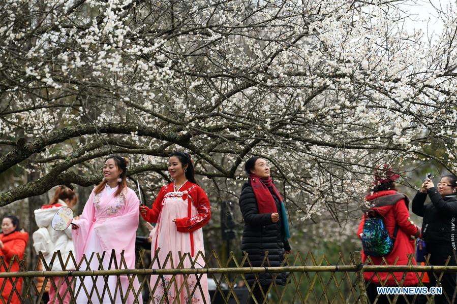 CHINA-GUIZHOU-LIBO-PLUM FLOWER (CN)