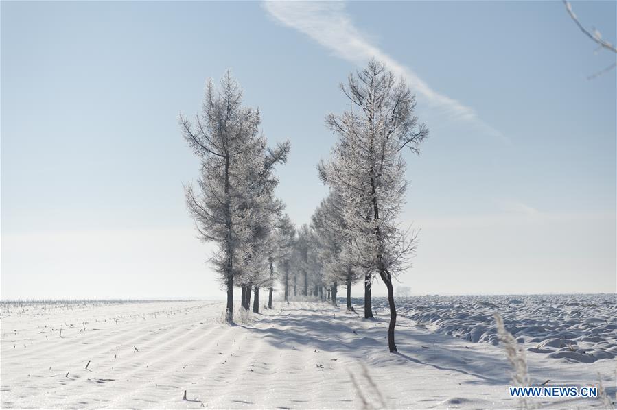 CHINA-HEILONGJIANG-WINTER SCENERY (CN)