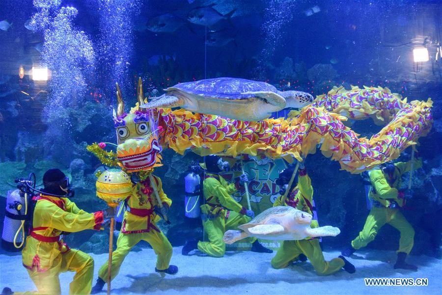 MALAYSIA-KUALA LUMPUR-UNDERWATER-DRAGON DANCE
