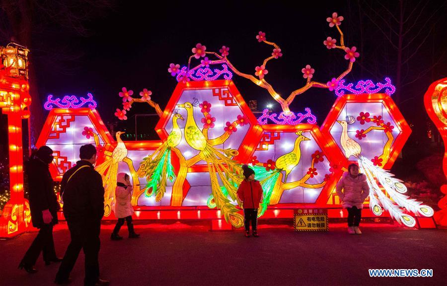 #CHINA-SPRING FESTIVAL-ILLUMINATION INSTALLATIONS (CN)