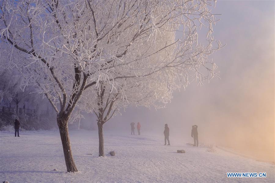 CHINA-JILIN-FROSTY SCENERY (CN)