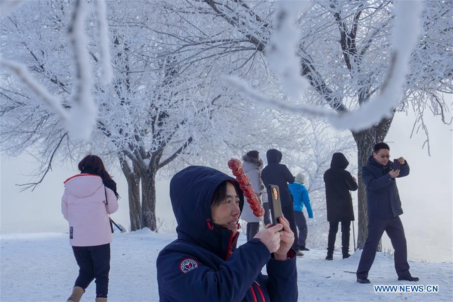 CHINA-JILIN-FROSTY SCENERY (CN)