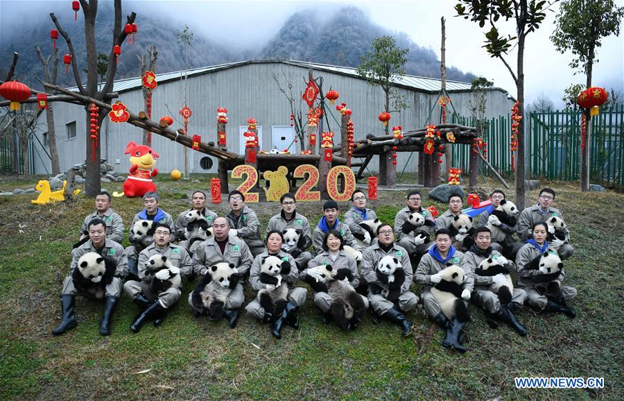 CHINA-SICHUAN-WOLONG-PANDA (CN)