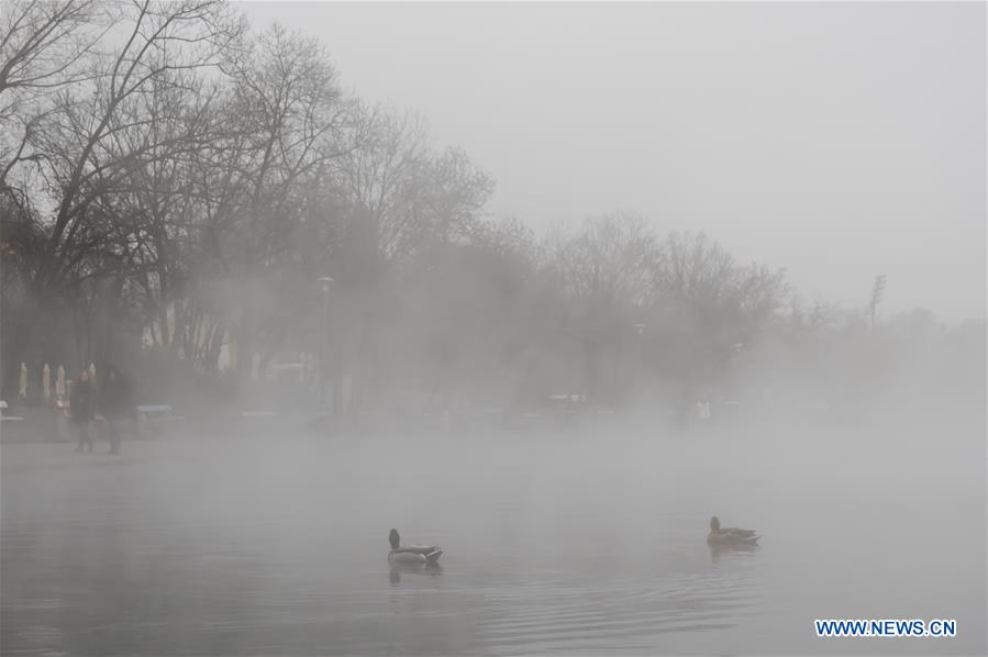 HUNGARY-BUDAPEST-WILD BIRDS