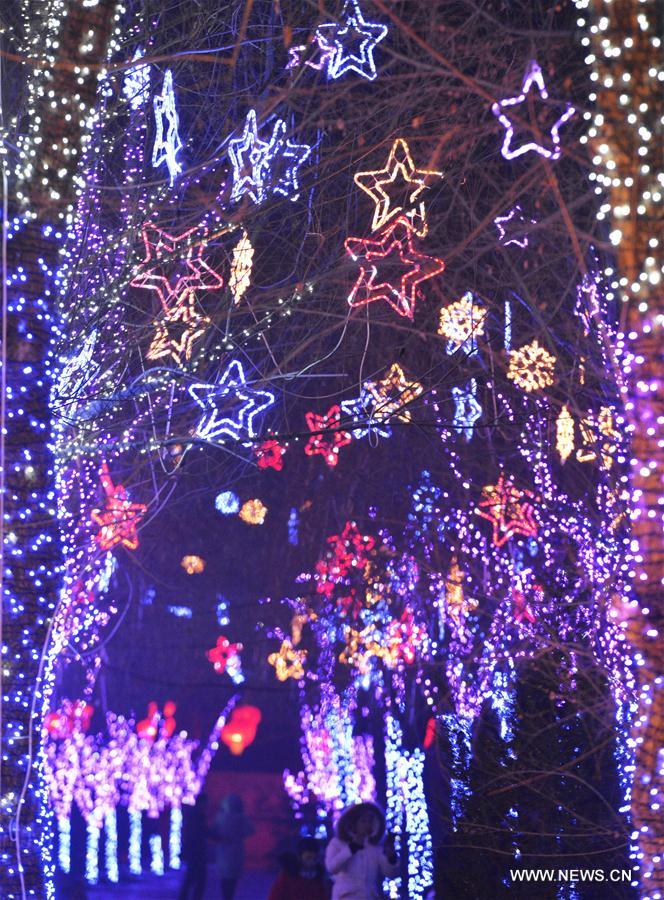 #CHINA-LANTERN SHOW-SPRING FESTIVAL (CN)