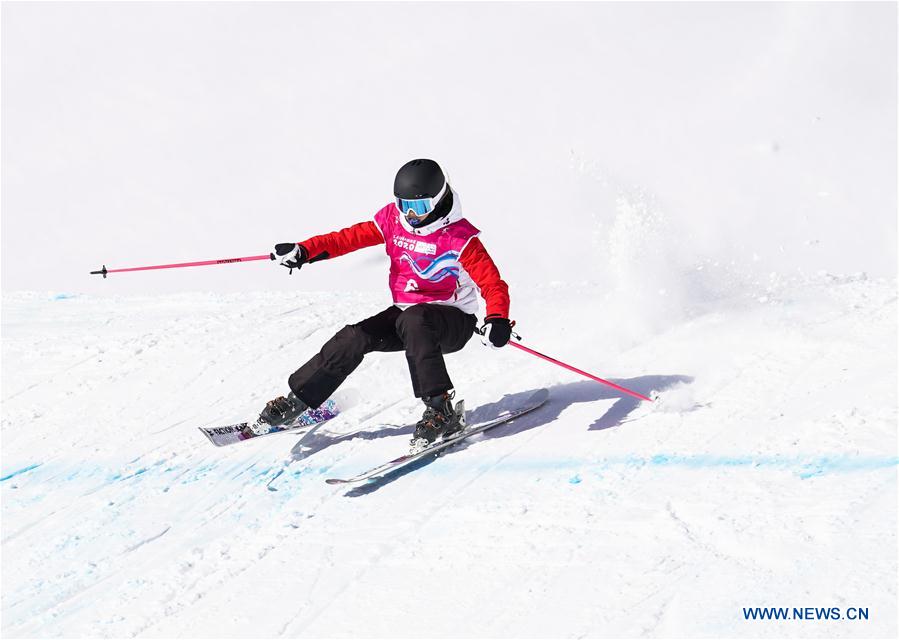 (SP)SWITZERLAND-LEYSIN-WINTER YOG-FREESTYLE SKIING-WOMEN'S FREESKI SLOPESTYLE