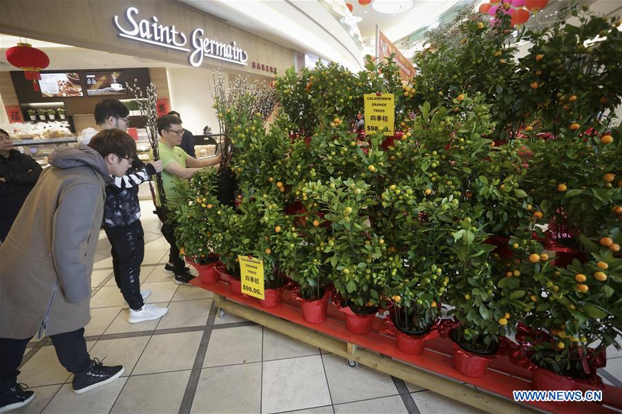  CANADA-RICHMOND-CHINESE NEW YEAR- FLOWER AND GIFT FAIR