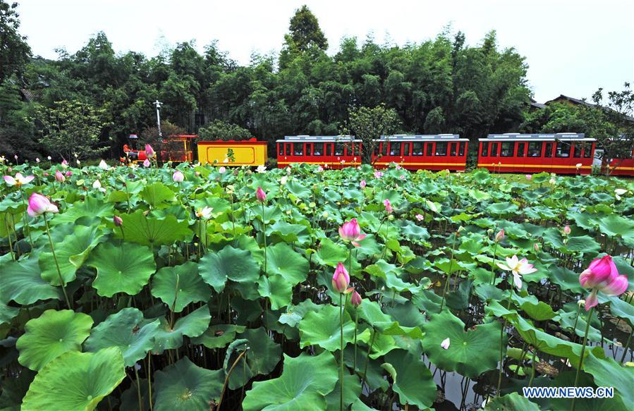 CHINA-ZHEJIANG-ECONOMY-GDP-INCOME (CN)