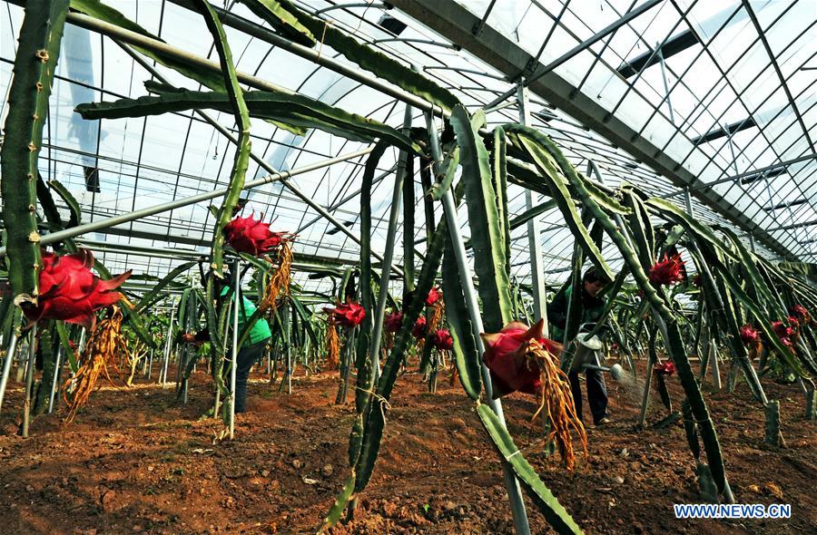 CHINA-ZHEJIANG-ECONOMY-GDP-INCOME (CN)