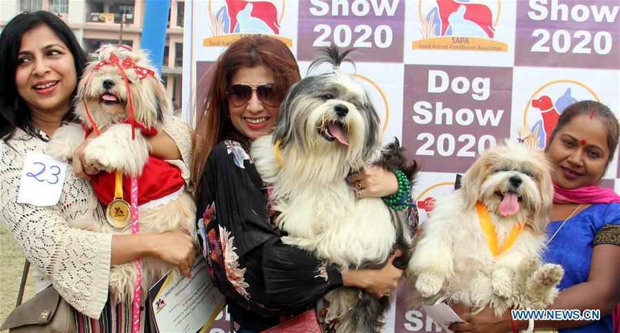 INDIA-GAUHATI-DOG SHOW