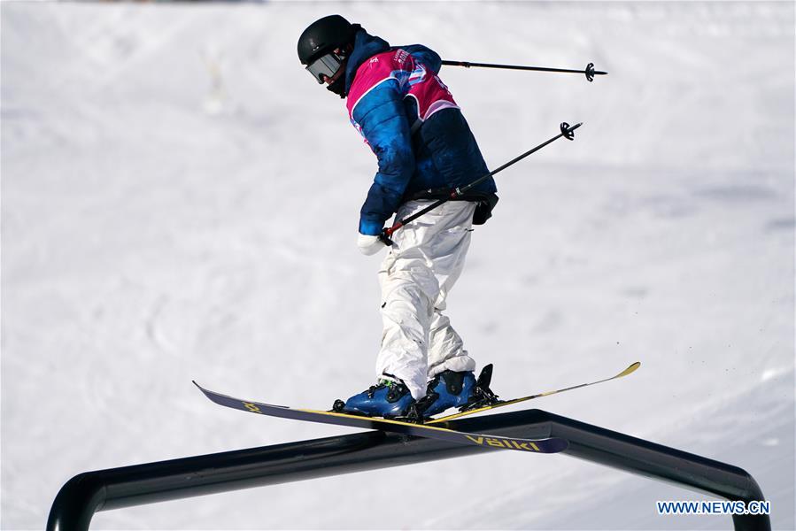 (SP)SWITZERLAND-LEYSIN-WINTER YOG-FREESTYLE SKIING-MEN'S SLOPESTYLE-FINAL