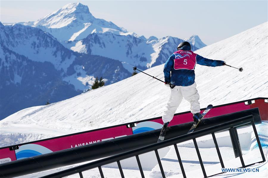 (SP)SWITZERLAND-LEYSIN-WINTER YOG-FREESTYLE SKIING-MEN'S SLOPESTYLE-FINAL