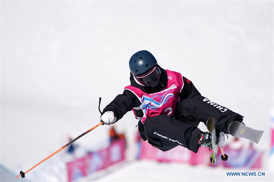 (SP)SWITZERLAND-LEYSIN-WINTER YOG-FREESTYLE SKIING-WOMEN'S HALFPIPE-FINAL