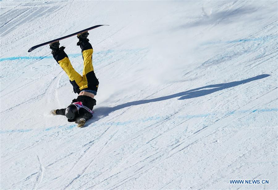 (SP)SWITZERLAND-LEYSIN-WINTER YOG-SNOWBOARD-MEN'S SLOPESTYLE-FINAL