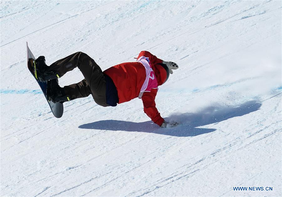 (SP)SWITZERLAND-LEYSIN-WINTER YOG-SNOWBOARD-MEN'S SLOPESTYLE-FINAL