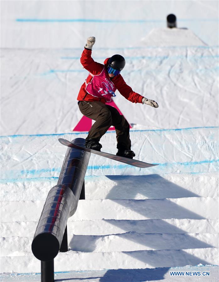 (SP)SWITZERLAND-LEYSIN-WINTER YOG-SNOWBOARD-MEN'S SLOPESTYLE-FINAL