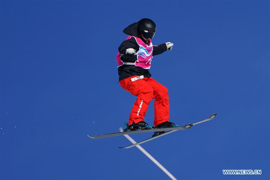 (SP)SWITZERLAND-LEYSIN-WINTER YOG-FREESTYLE SKIING-WOMEN'S FREESKI BIG AIR