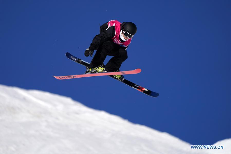 (SP)SWITZERLAND-LEYSIN-WINTER YOG-FREESTYLE SKIING-MEN'S FREESKI HALFPIPE-FINAL