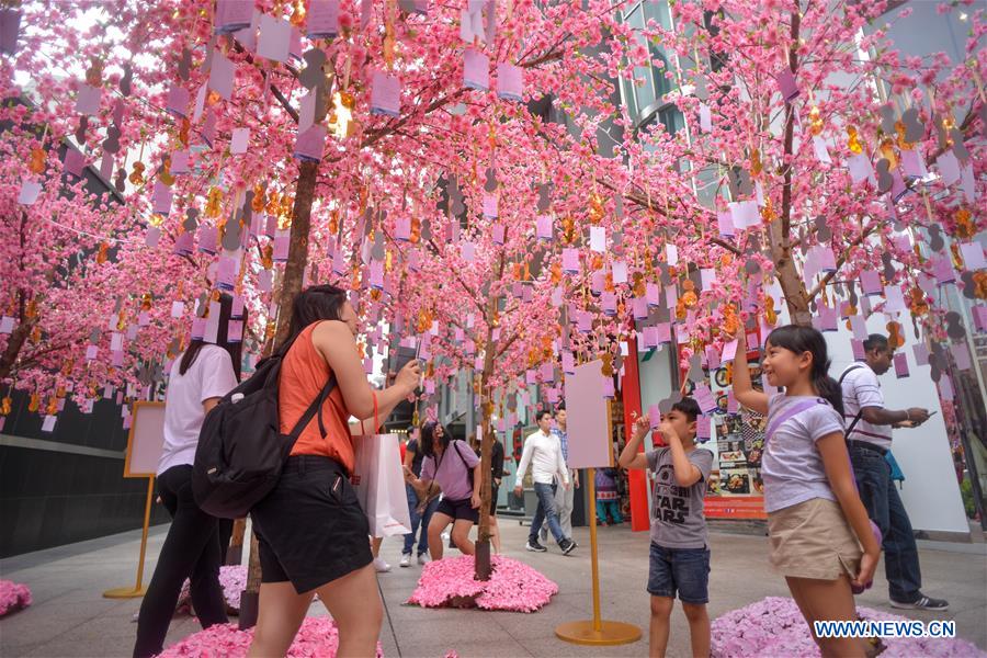 MALAYSIA-KUALA LUMPUR-CHINESE NEW YEAR-DECORATION