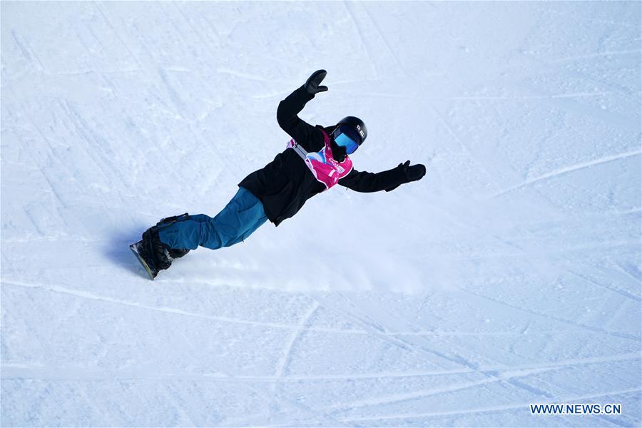 (SP)SWITZERLAND-LEYSIN-WINTER YOG-SNOW BOARD-MEN'S HALFPIPE-FINAL
