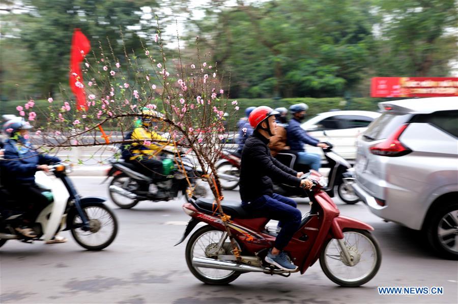 VIETNAM-HANOI-LUNAR NEW YEAR-PREPARATIONS