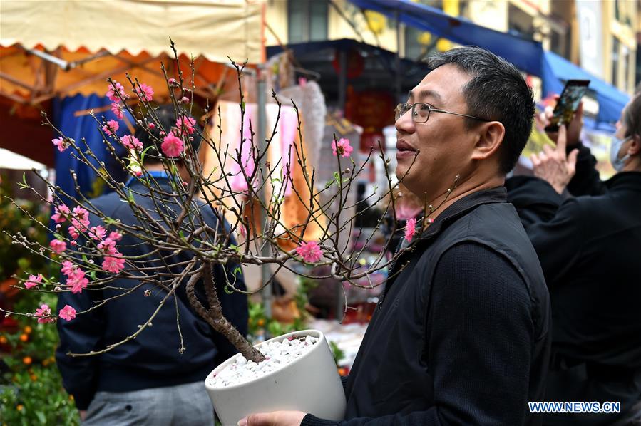 VIETNAM-HANOI-LUNAR NEW YEAR-PREPARATIONS