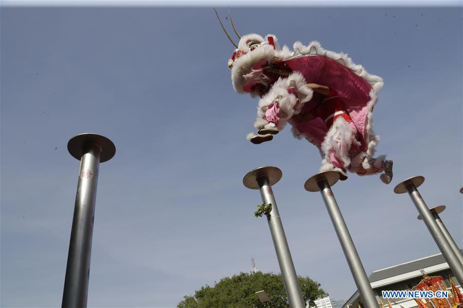 CAMBODIA-PHNOM PENH-LION DANCE-CHINA-LUNAR NEW YEAR