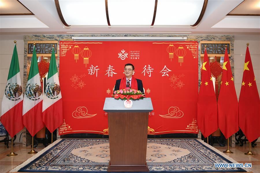 MEXICO-MEXICO CITY-CHINESE NEW YEAR-RECEPTION