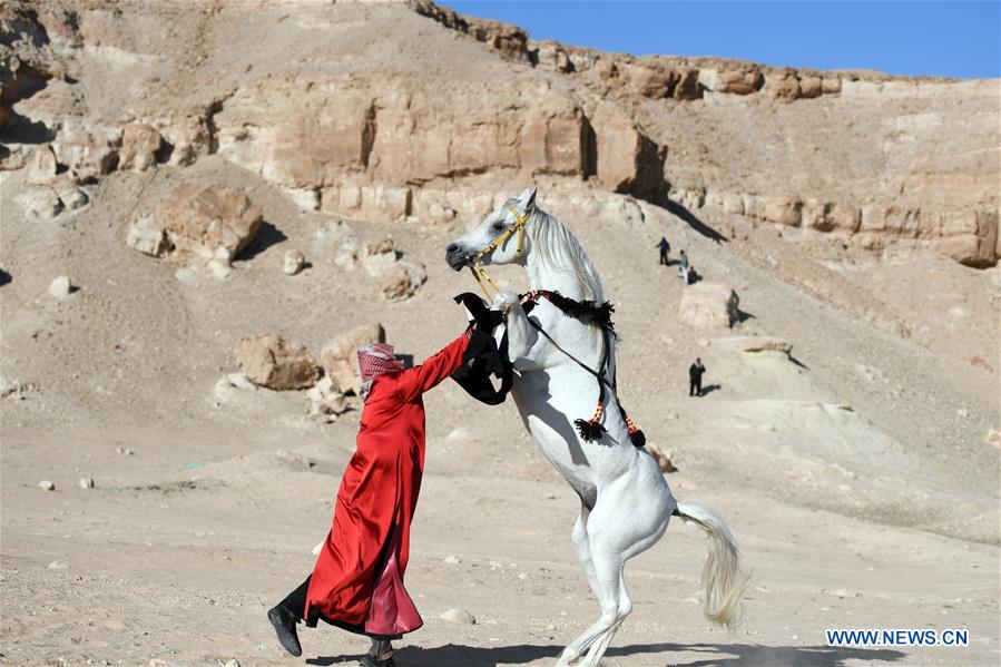 Horse riding show held in Jahra Governorate, Kuwait Xinhua English