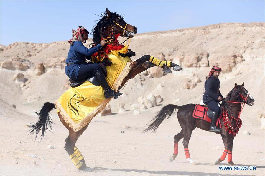 Horse riding show held in Jahra Governorate, Kuwait Xinhua English