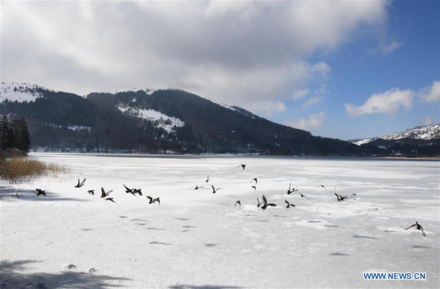 TURKEY-BOLU-ABANT LAKE-SCENERY