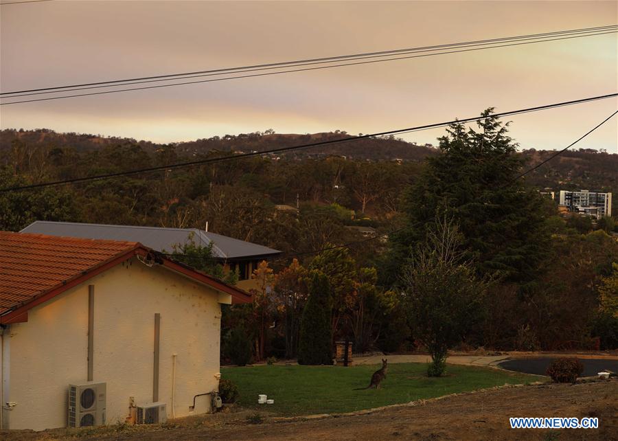AUSTRALIA-CANBERRA-BUSHFIRE-STATE OF EMERGENCY