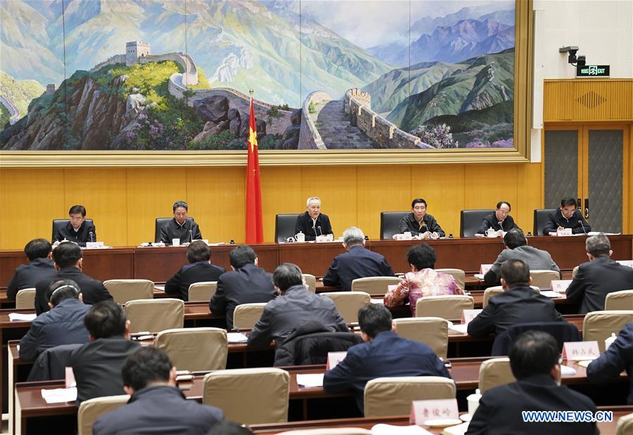 CHINA-BEIJING-LIU HE-NOVEL CORONAVIRUS-TELECONFERENCE (CN)