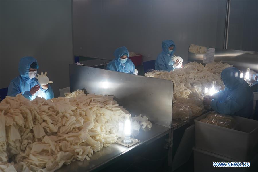CHINA-JIANGSU-NANJING-MEDICAL GLOVES-PRODUCTION (CN)