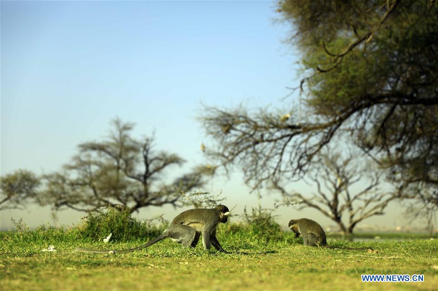 SUDAN-KHARTOUM-BANK-SCENERY