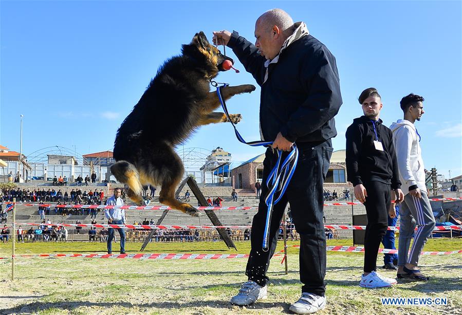MIDEAST-GAZA CITY-DOG SHOW