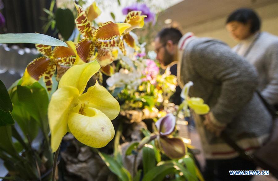 CANADA-TORONTO-ORCHID SHOW