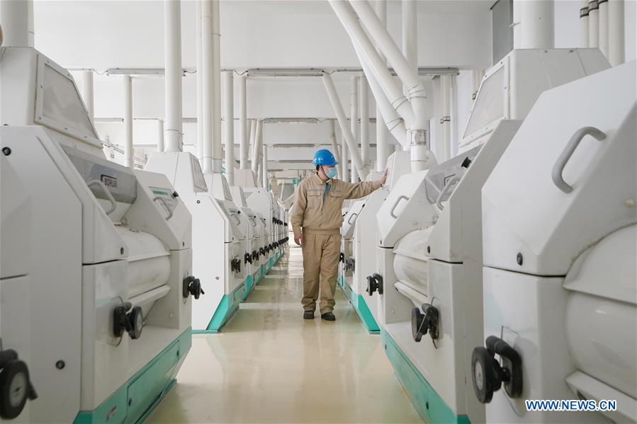 CHINA-HEILONGJIANG-HARBIN-NCP-PRODUCTION RESUMPTION (CN)