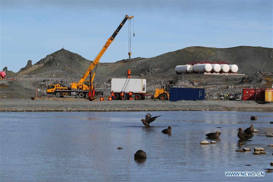 (EyesonSci)CHINA-XUELONG 2-ANTARCTIC EXPEDITION-THE GREAT WALL STATION-WILDLIFE