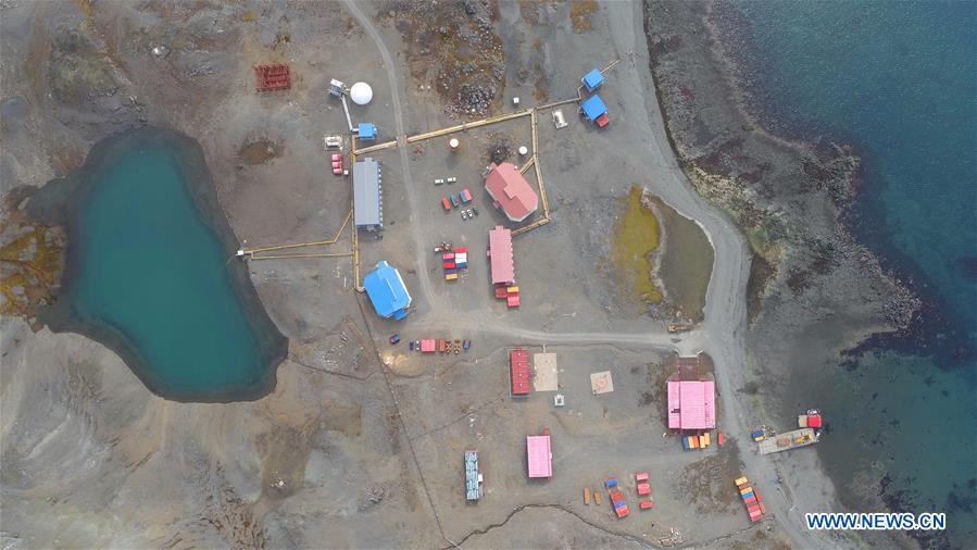 (EyesonSci)CHINA-XUELONG 2-ANTARCTIC EXPEDITION-THE GREAT WALL STATION-WILDLIFE