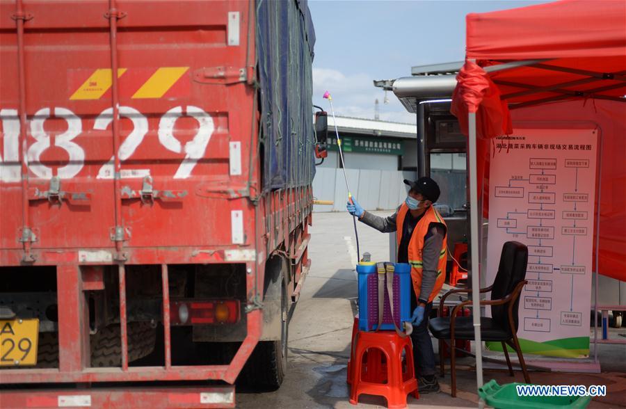 CHINA-HUNAN-CHANGSHA-VEGETABLE SUPPLY (CN)