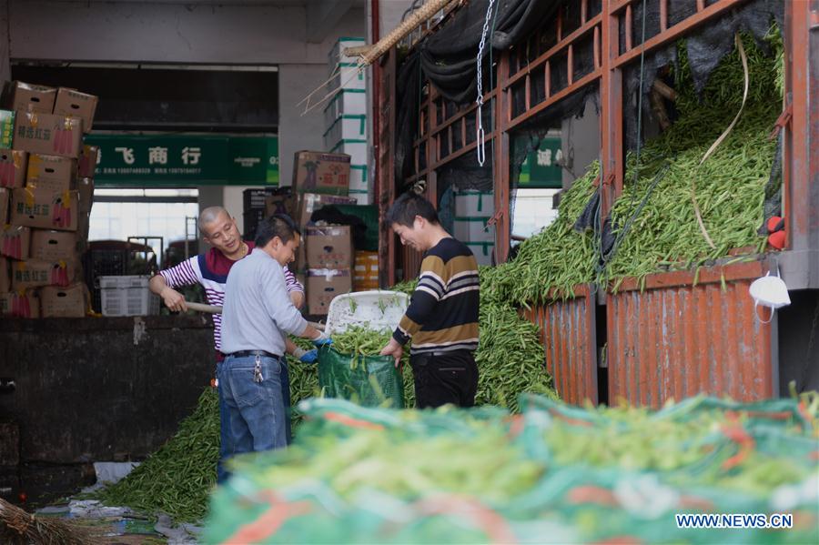 CHINA-HUNAN-CHANGSHA-VEGETABLE SUPPLY (CN)