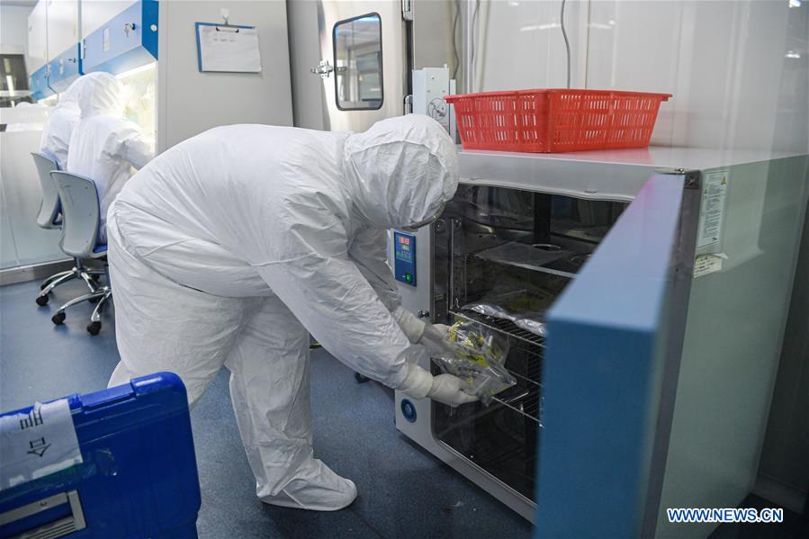 CHINA-ANHUI-HEFEI-NCP-LABORATORY (CN)