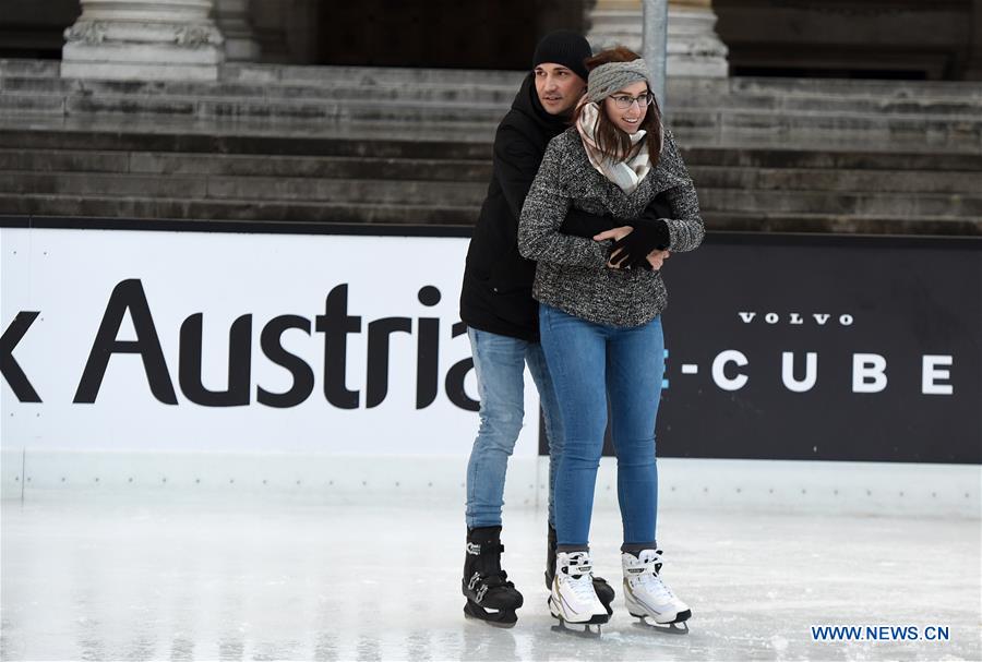 AUSTRIA-VIENNA-VALENTINE'S DAY-SKATING