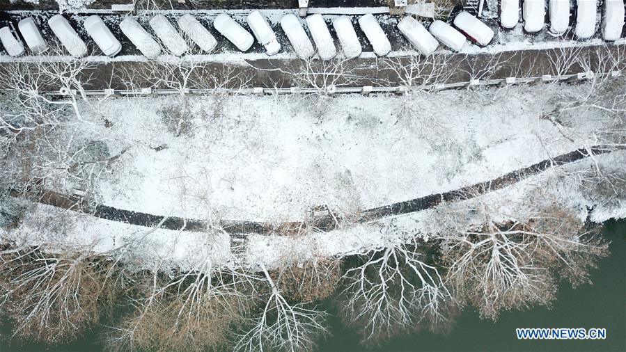 CHINA-ANHUI-HEFEI-PARK-SNOW VIEW (CN)