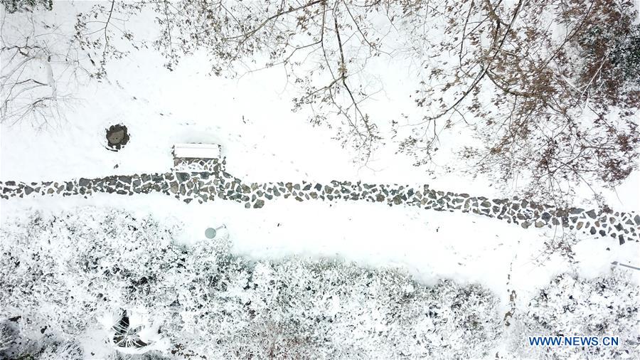 CHINA-ANHUI-HEFEI-PARK-SNOW VIEW (CN)