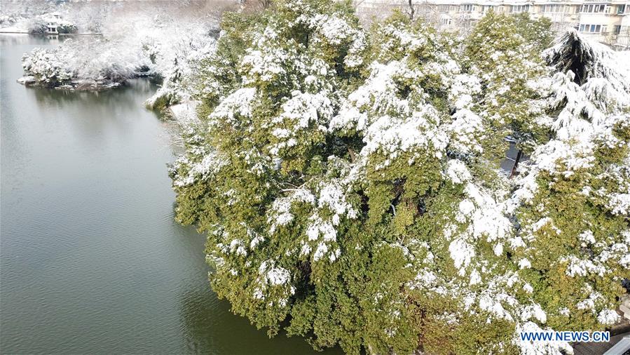 CHINA-ANHUI-HEFEI-PARK-SNOW VIEW (CN)