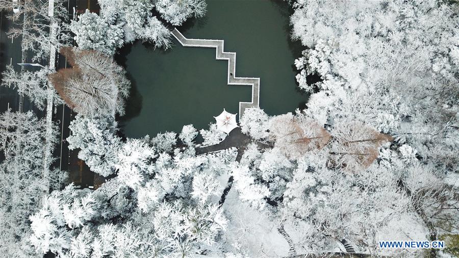 CHINA-ANHUI-HEFEI-PARK-SNOW VIEW (CN)