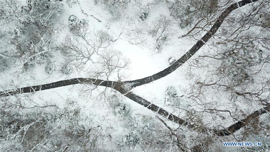 CHINA-ANHUI-HEFEI-PARK-SNOW VIEW (CN)