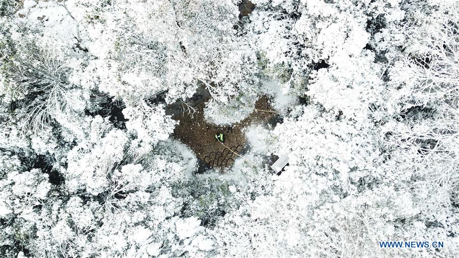 CHINA-ANHUI-HEFEI-PARK-SNOW VIEW (CN)